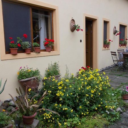 Casa Lia Hotel Sighisoara Exterior photo